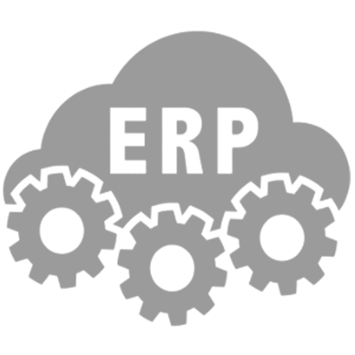 Oracle ERP Support and Solutions